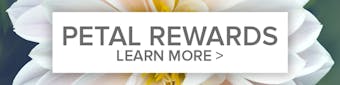 Petal Points Loyalty Rewards Program