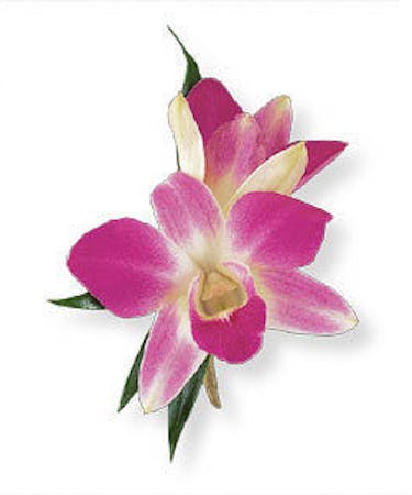 Purple Orchid Boutonniere Purple Orchid Boutonniere