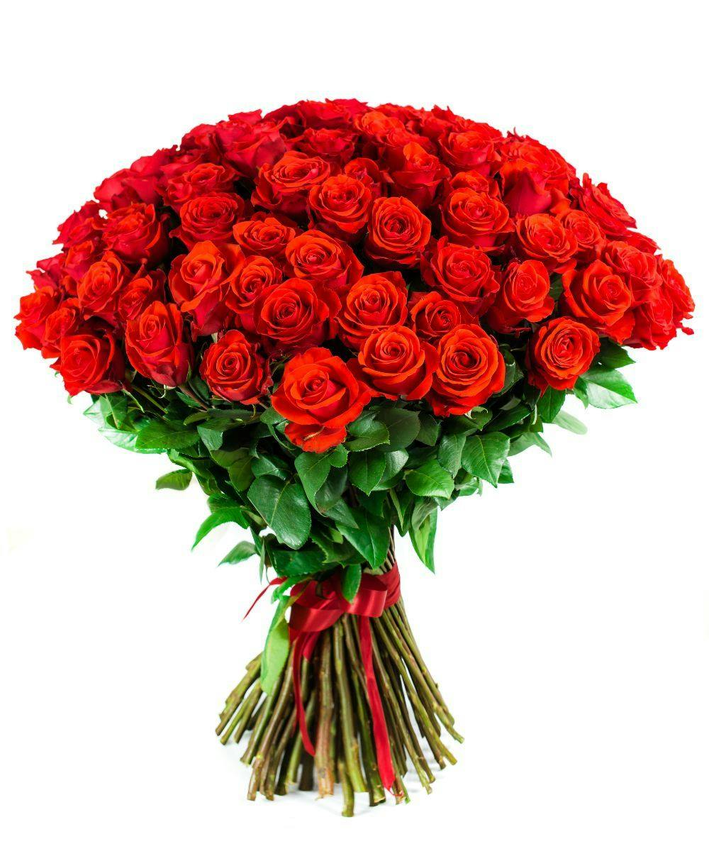 100 Reasons I Love You! Springfield (MA) SameDay Flowers & Roses