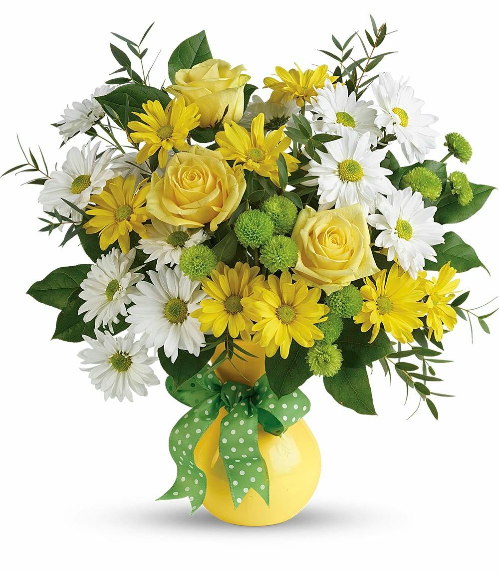 Daisies & Dots Springfield MA Same Day Flower Delivery