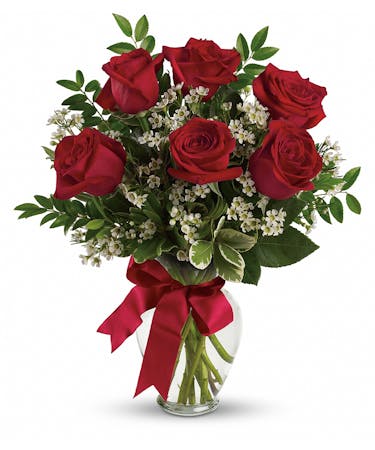 6 Red Roses Vased