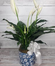 Tranquil Peace Lily- Ceramic