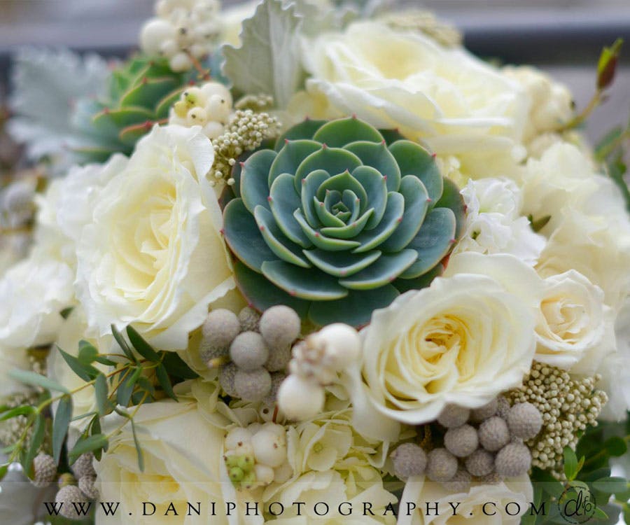 Springfield MA SameDay Flower Delivery Durocher Florist West Springfield